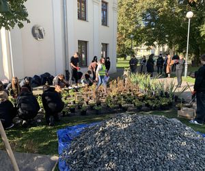 W Lublinie pojawił się nowy ogród deszczowy. To już szóste takie miejsce