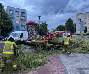 Powalone drzewa, zalania, wstrzymany ruch tramwajów: dramatyczny bilans orkanu nad Śląskiem