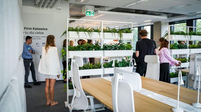 Nowy showroom IKEA w Katowicach - otwarcie