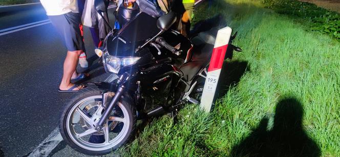 Motocykliści ZDERZYLI się z sarną na drodze wojewódzkiej. GROŹNY wypadek koło Wojnicza [ZDJĘCIA]