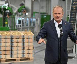 Donald Tusk w Mesko w Skarżysku-Kamiennej