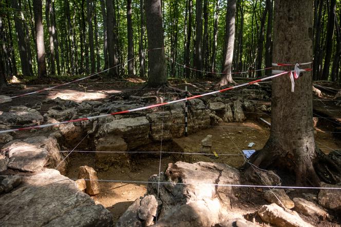 Wiekowe kamienie w Dąbrowie Górniczej