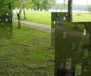 Ten park w Poznaniu trzeba odwiedzić. To prawdziwa galeria sztuki w plenerze!