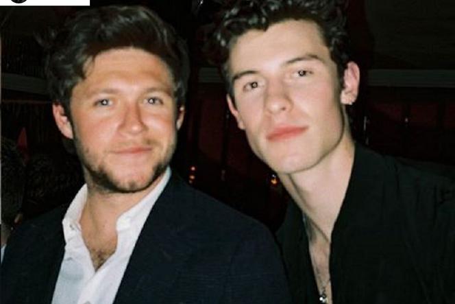 Niall Horan i Shawn Mendes