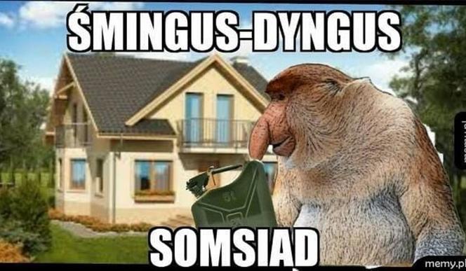 Śmigus-dyngus 2022. Zobacz najlepsze MEMY na LANY PONIEDZIAŁEK! [GALERIA]