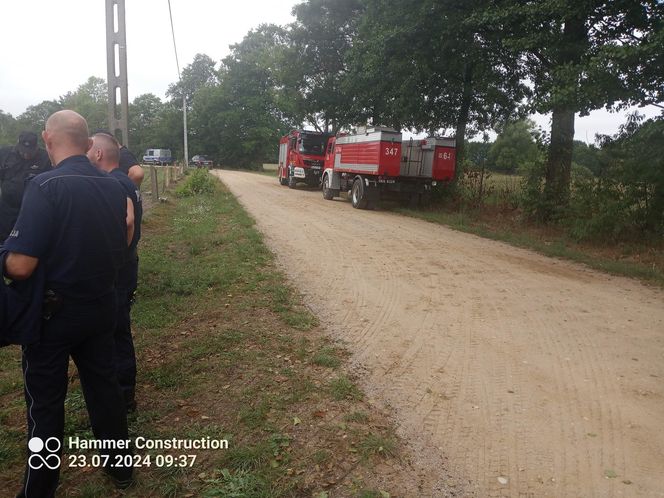 Mroczna tajemnica zaginionego 28-latka z Myszyńca. Sebastian G. zakatowany przez kolegów Makabra w lesie