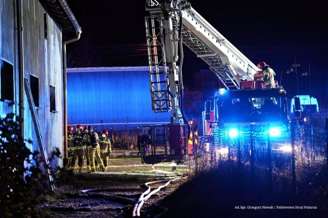 Pożar zakładu meblarskiego w Sadowie