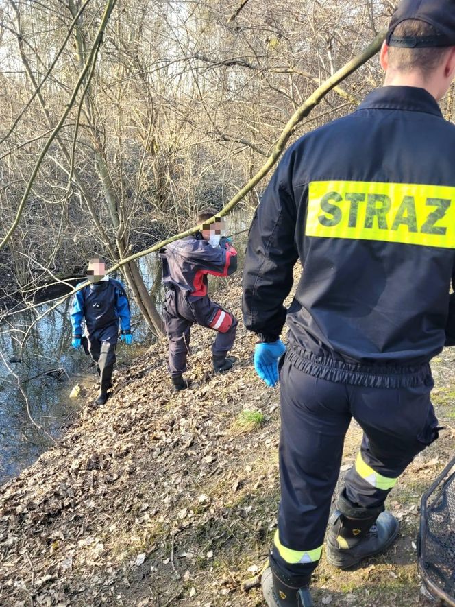 Ciało znalezione w rowie melioracyjnym 