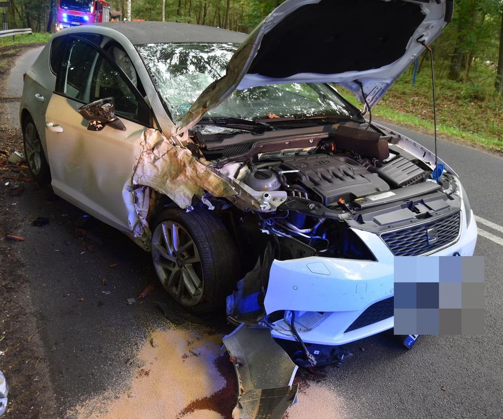 Niebezpieczny poślizg na trasie Gryżyna–Racot. 19-latek uderzył w drzewo, pasażerowie cali i zdrowi