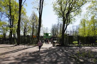 Wiosna w Zoo Akcent w Białymstoku