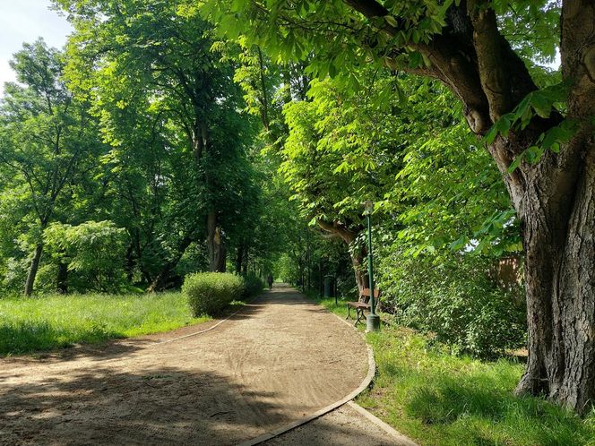 Park Miejski w Zamościu