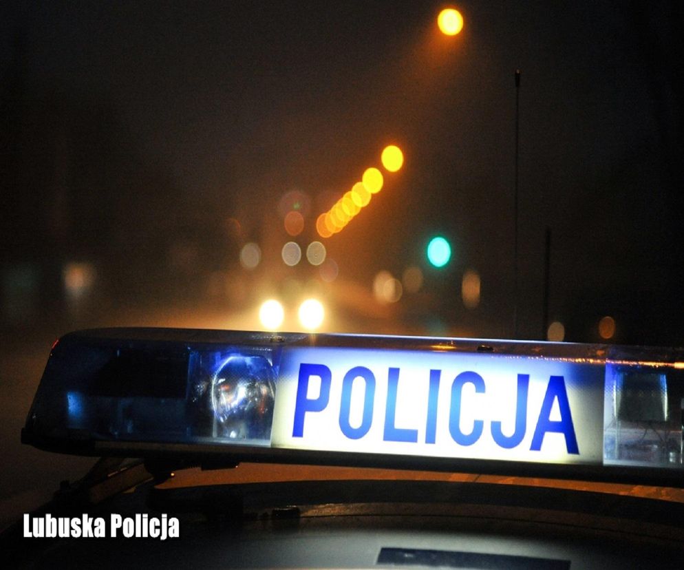 policja
