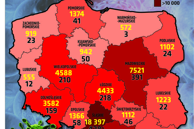 Koronawirus w Polsce. Statystyki, wykresy, grafiki (13 sierpnia)