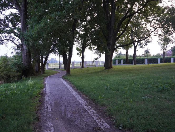 Park w gminie Mełgiew