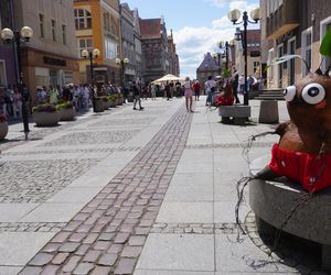 Święto Muzyki 2025. Olsztyn zamienił się w radosne miasto muzyki!