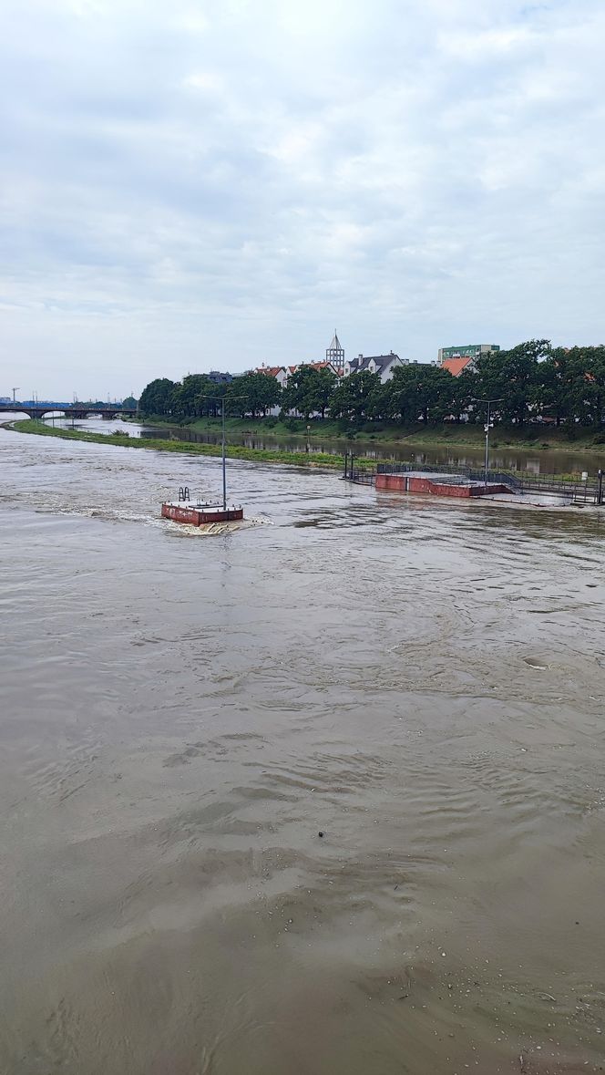 Fala powodziowa we Wrocławiu. Pod wodą są już beach bary i drogi 