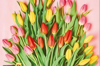 Promocje na Dzień Kobiet 2024