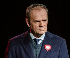 Koniec rządu. Nowe wybory w 2024 r. przesądzone? Jasna odpowiedź