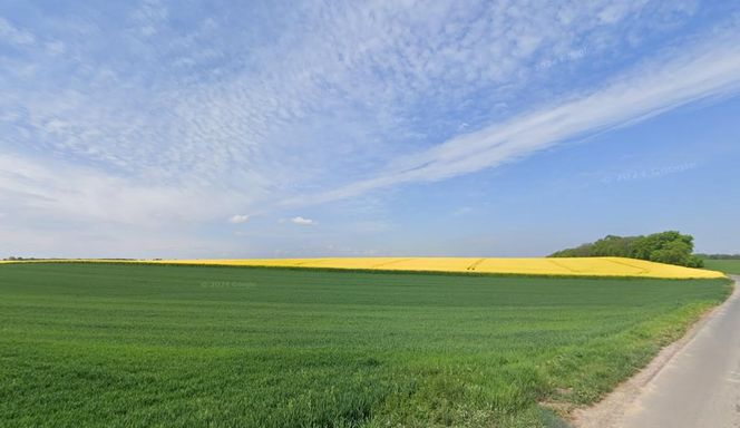 To najmniejsza wieś w Polsce. Ma zaledwie 30 hektarów i tylko kilku mieszkańców