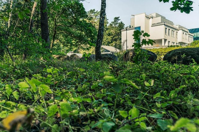 Białystok buduje Park Bioróżnorodności