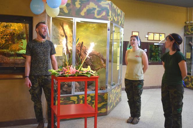 Aligatorzyca Marta z ZOO Płock skończyła 90 lat! To najstarsze zwierzę w Europie!