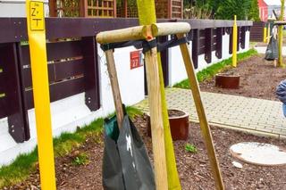 Ulica Modra i Koralowa 