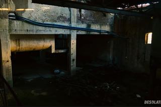 Opuszczona fabryka papieru w Boruszowicach