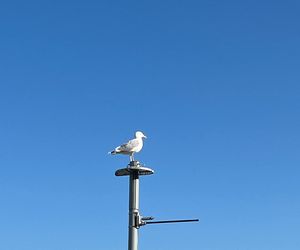 Kołobrzeg w ostatni weekend lutego