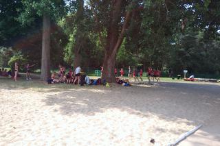 Hurtostal Cup