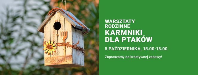 Stwórz własny karmnik dla ptaków - sobota 5 października