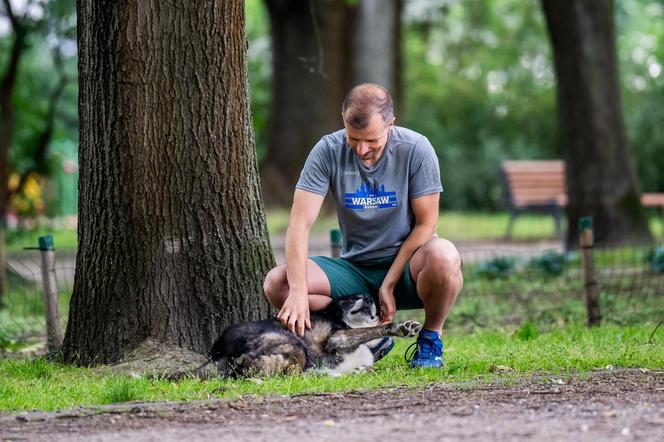 Biegnie z Włodkiem do Brukseli