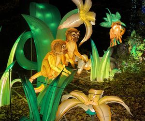 Garden of Lights we Wrocławiu