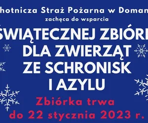 Druhowie z OSP w Domaninie zachęcają: Dołącz do zbiórki - i podaruj święta zwierzakom z pobliskich schronisk!