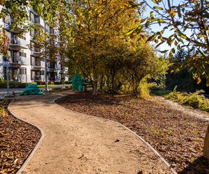 Park linearny na Służewcu w Warszawie pod koniec budowy