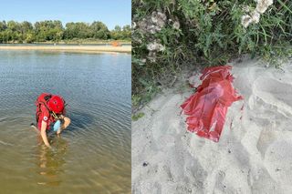 Makabryczne znalezisko nad Wisłą! Plażowicz wyłowił ludzką czaszkę