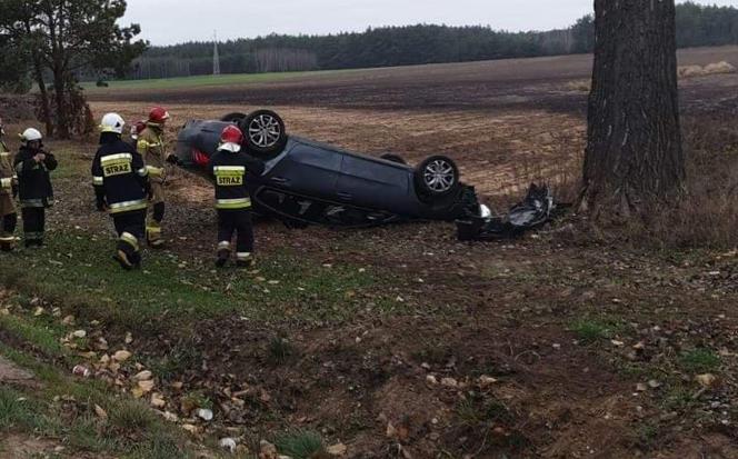 Mońki: Wypadek na DK 65. Citroen uderzył w drzewo. 7-letnia dziewczynka w szpitalu 