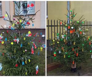 Z odblaskowej choinki policji odblask może wziąć każdy!