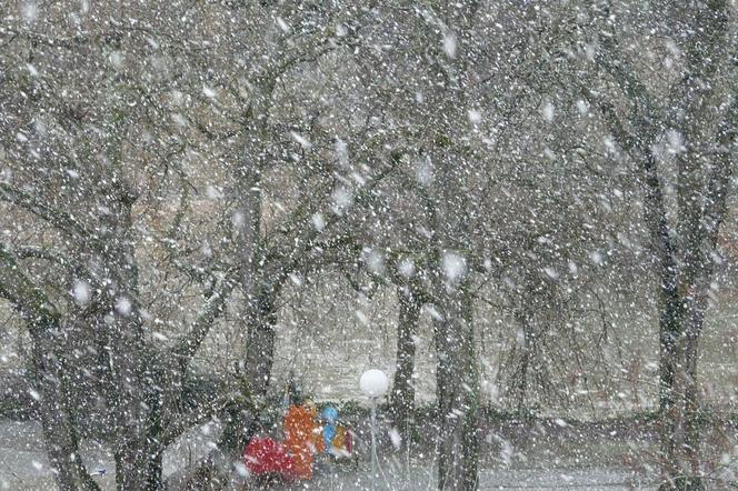 Pogodowy ARMAGEDON nadciąga! W woj. lubelskim nie tylko śnieg i deszcz, ale jeszcze TO! 