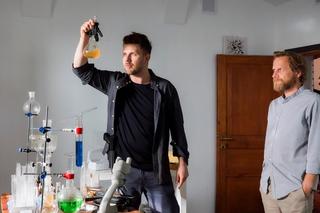 Królikowski znowu zarabia