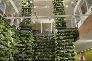 Nowość w Ciechocinku - sanatorium