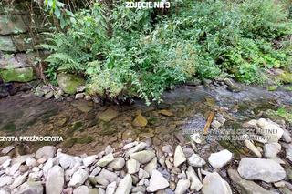 Zanieczyszczenie ujęcia wody pitnej w gmienie Niedźwiedź, w powiecie limanowskim