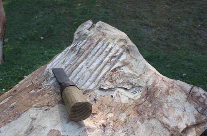 Z drewna robią cuda. Tak rzeźbiarze pracują w podlaskich lasach [ZDJĘCIA]