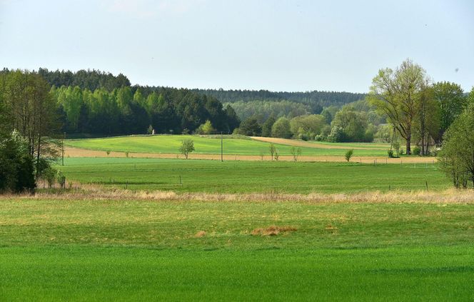 Cuda Polski 2025 w Podlaskiem