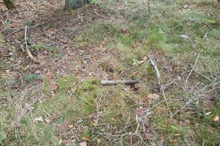 W czasie prac leśnych znaleziono nabój artyleryjski z czasów II wojny