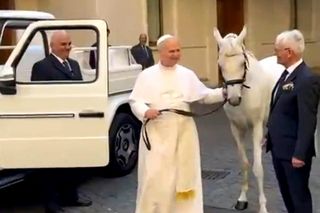 Papież Leon XIV otrzymał w środę białego konia czystej krwi arabskiej ze stadniny w Kołobrzegu-Budzistowie