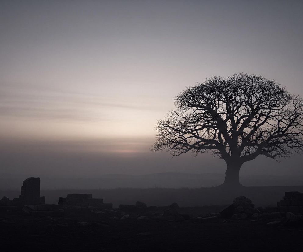 Generał Komornicki o przyszłości Ukrainy. Czy pokój oznacza państwo kadłubowe?