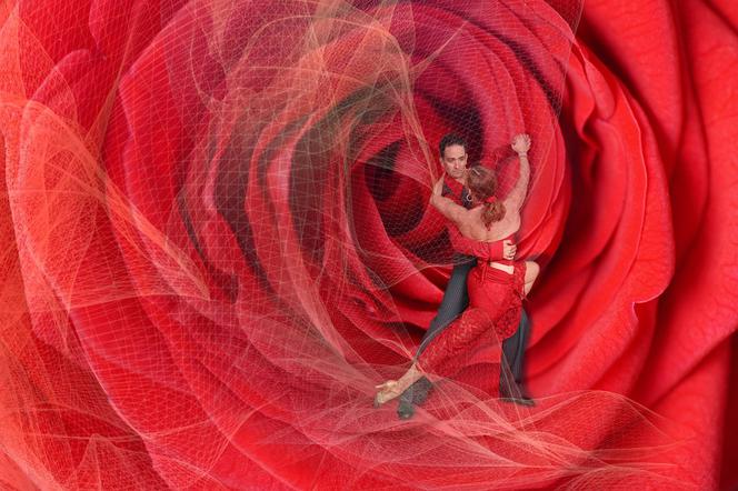Propozycje walentynkowe