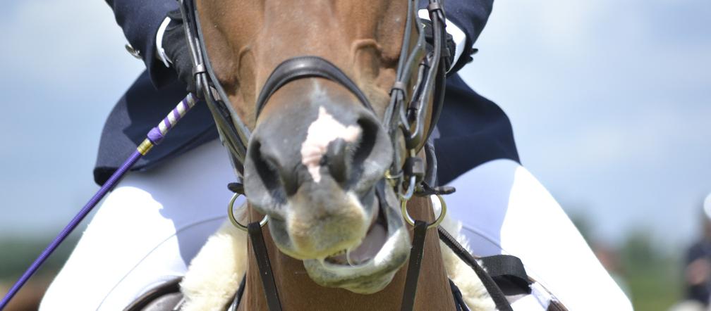 Pięciobój nowoczesny