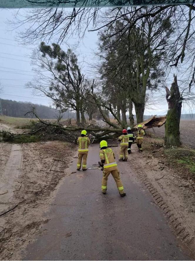 Niż Eunice w Grudziądzu. Straty są ogomne!