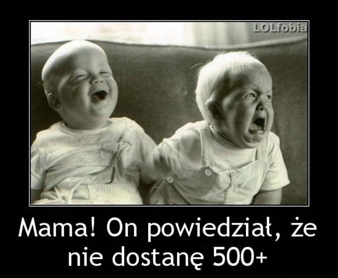 Rodzina 500+ memy